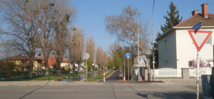 Stadt Wiener Neustadt: <br>Radverkehrsoffensive 2019