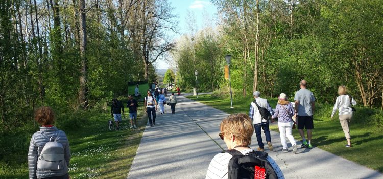 Verkehrszählung in Melk:  Zu 76 % Fußgänger- und Radverkehr auf der Rollfährestraße