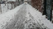 Dezember 2021: Schneeräumung in Wiener Neustadt