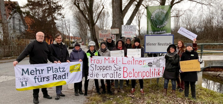 Fridays for Future NÖ: Landtagswahl = Klimawahl