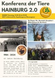 Ost“umfahrung“: Großer Aktionstag am 11. Mai 2024 in Lichtenwörth