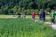 Rege Teilnahme bei der Radsternfahrt nach Sitzenberg-Reidling