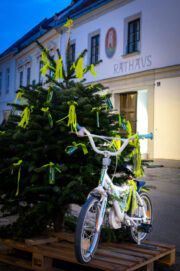 Traismauer: Radlobby stellt Gemeinde – Radbeauftragten