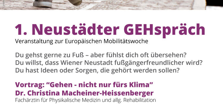“Gehen geht!” in Wiener Neustadt <br>Wir brauchen eine Fußweg-Lobby! “Gehen geht!” in Wiener Neustadt <br>Wir brauchen eine Fußweg-Lobby!