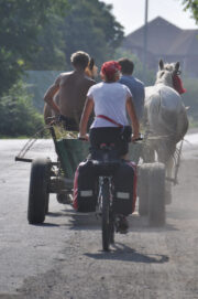 Erfahrungsaustausch Radreisen!