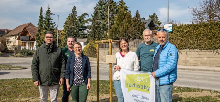 Radlobby Melk übernimmt Baumpatenschaft