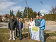 Radlobby Melk übernimmt Baumpatenschaft