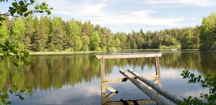 NÖ Teichwirteverband lädt zu Karpfen-Radtouren „CarpTrails“ mit Fachvorträgen NÖ Teichwirteverband lädt zu Karpfen-Radtouren „CarpTrails“ mit Fachvorträgen