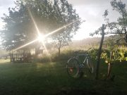 Neue Radlobby Gruppe Ebreichsdorf