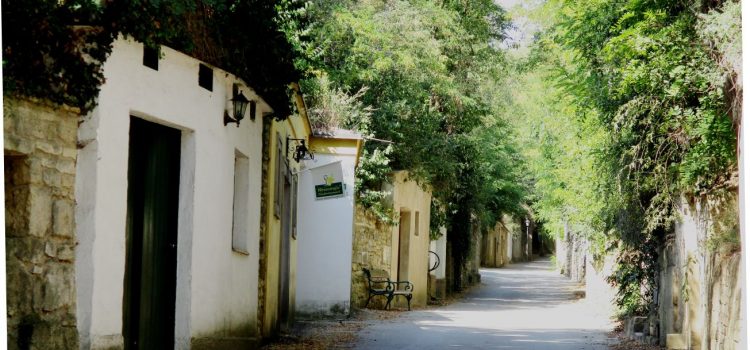 Samstag, 30. April 2022<br>Kellergassenradtour Region Wolkersdorf