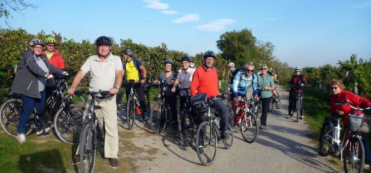 Radtour zu 7 Kellergassen am 6.10.2018