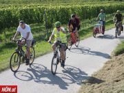 Radausflug nach Krems-Süd: viele Mitradelnde für bessere Radverbindung <br>NÖN Bericht