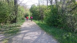 Freizeitweg in Riedenthal wurde saniert