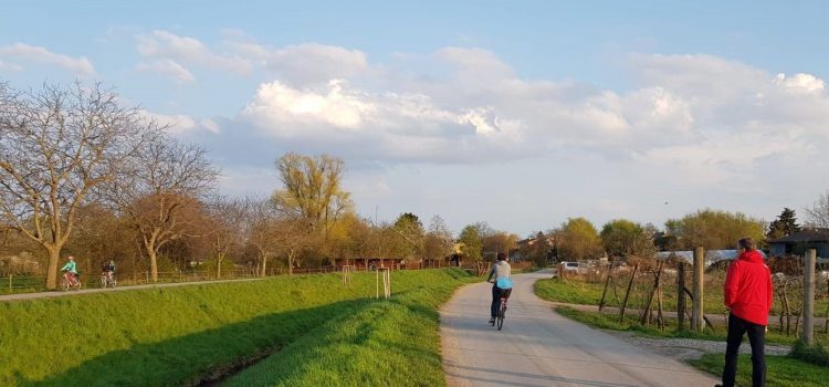 Dr. Werner Katzmann – Promenade
