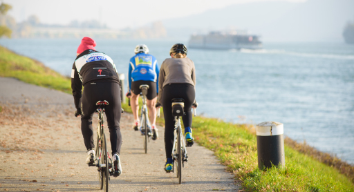 Radfahren entlang der Donau <br>viadonau schafft Verbesserungen für den Radverkehr