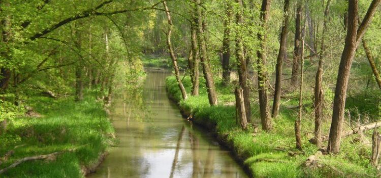 Kehrtwende in Stockerau